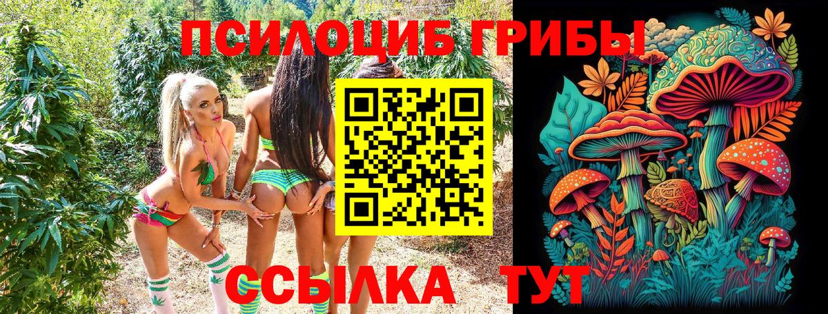 Ростов Великий  Псилоцибиновые грибы прущие грибы  магазин  наркотиков  Вход с VPN 